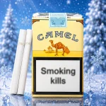 Camel non-filter