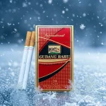 Gudang Baru International