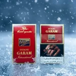 Gudang Garam International