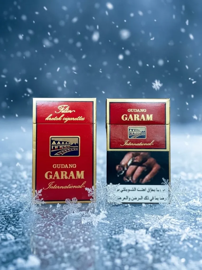 Gudang Garam International