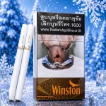 Winston Caster