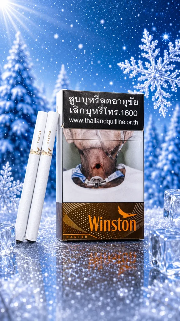 Winston Caster